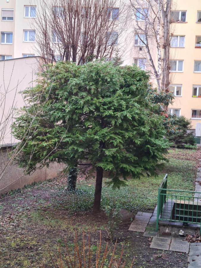 Apartment Ismens Viena Exterior foto
